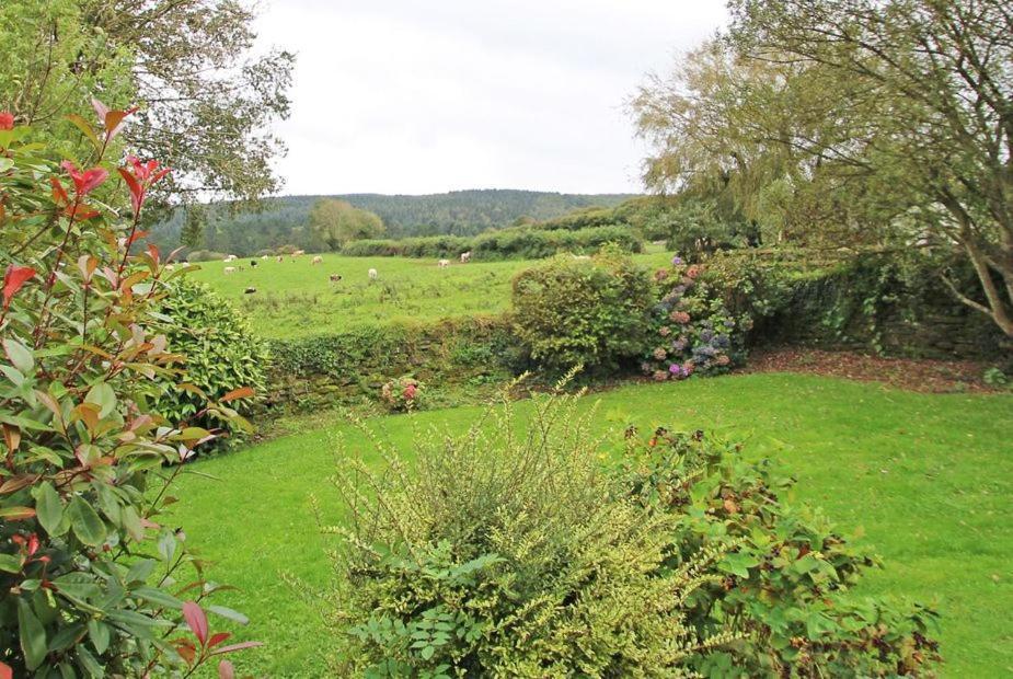 Meadowside Cottage, Characterful Grade 2 Listed Cottage Near To Wadebridge And Padstow Extérieur photo