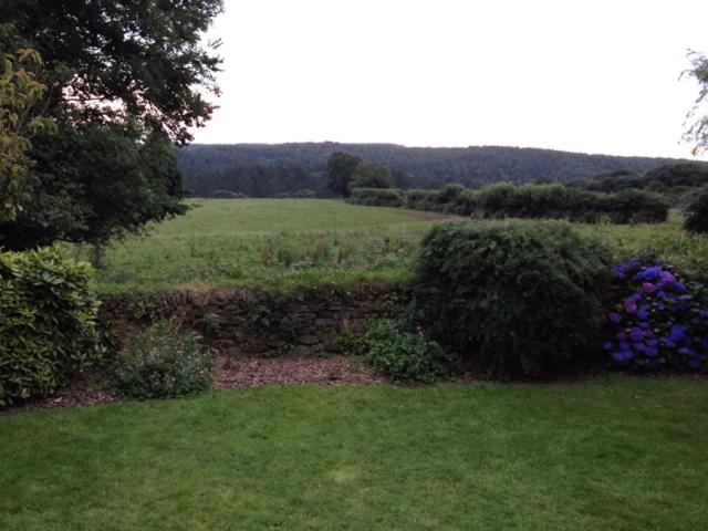 Meadowside Cottage, Characterful Grade 2 Listed Cottage Near To Wadebridge And Padstow Extérieur photo