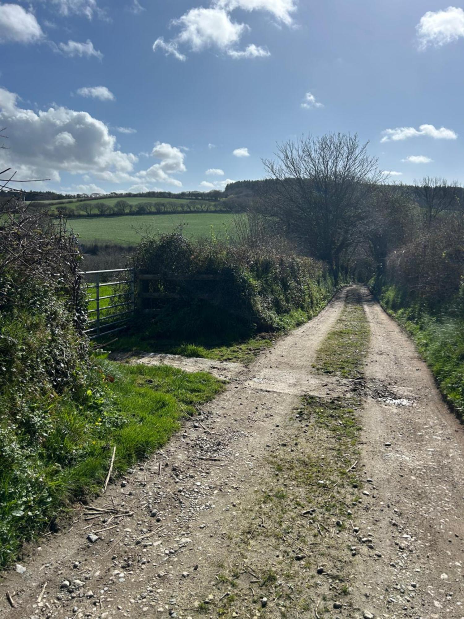 Meadowside Cottage, Characterful Grade 2 Listed Cottage Near To Wadebridge And Padstow Extérieur photo
